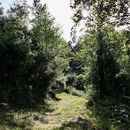 D'alijo Retreat Center Курортный комплекс *