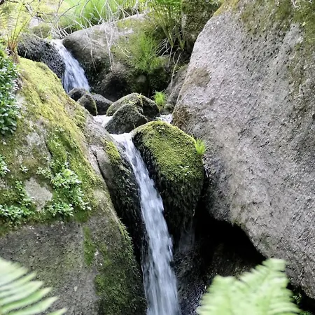 Курортный комплекс D'alijo Retreat Center *