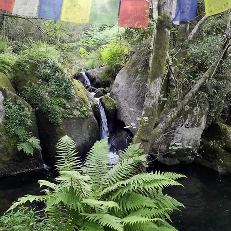 Курортный комплекс D'alijo Retreat Center Кабесейраш-ди-Башту