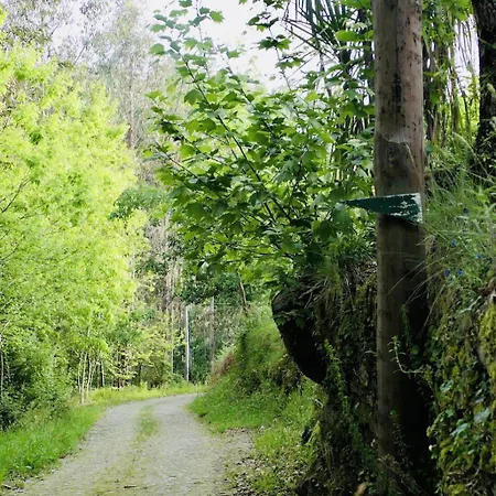 D'alijo Retreat Center * Кабесейраш-ди-Башту