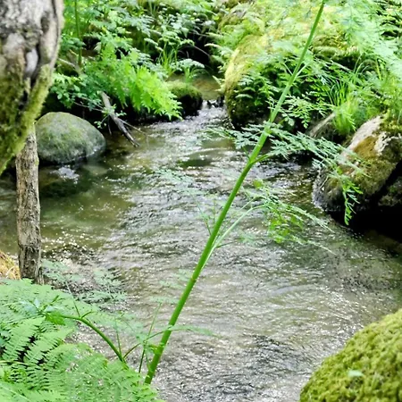 D'alijo Retreat Center Курортный комплекс