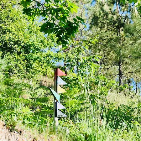 Курортный комплекс D'alijo Retreat Center