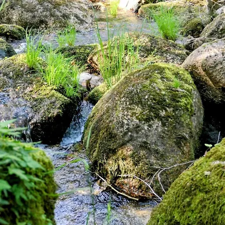 Курортный комплекс D'alijo Retreat Center Кабесейраш-ди-Башту
