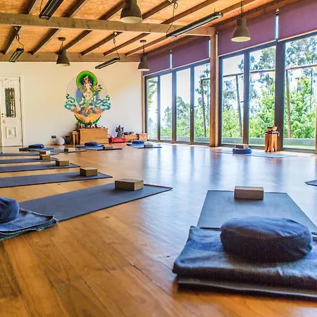 D'alijo Retreat Center Кабесейраш-ди-Башту