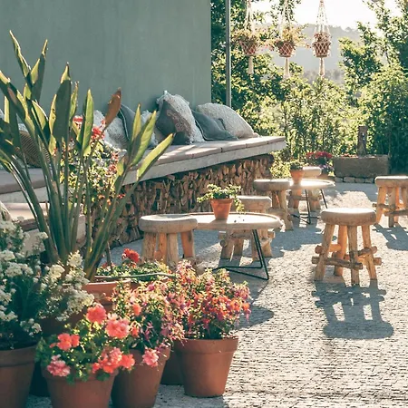 D'alijo Retreat Center Курортный комплекс Кабесейраш-ди-Башту