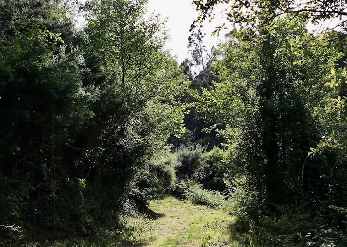 D'alijo Retreat Center Feriested *