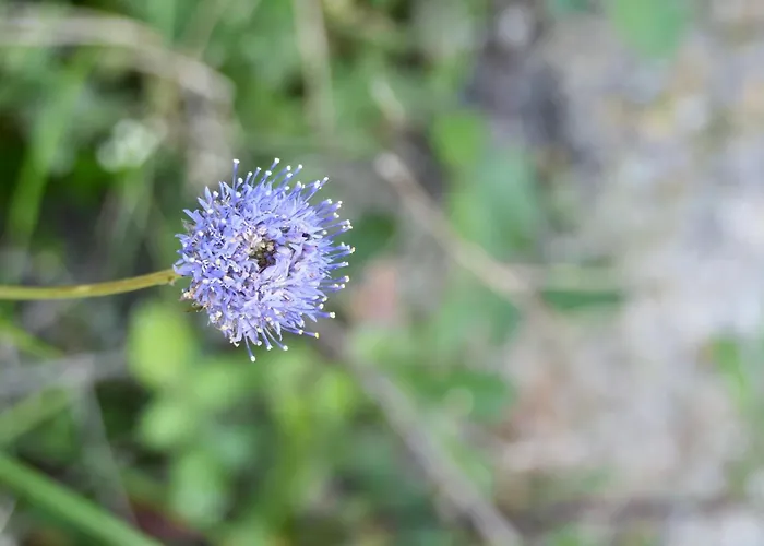 D'alijo Retreat Center Cabeceiras de Basto