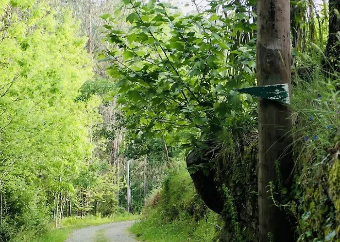 D'alijo Retreat Center * Cabeceiras de Basto