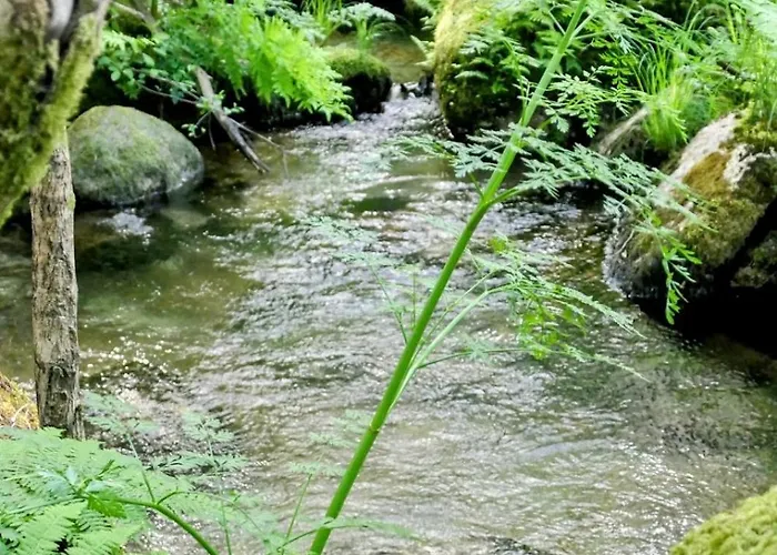 D'alijo Retreat Center Feriested