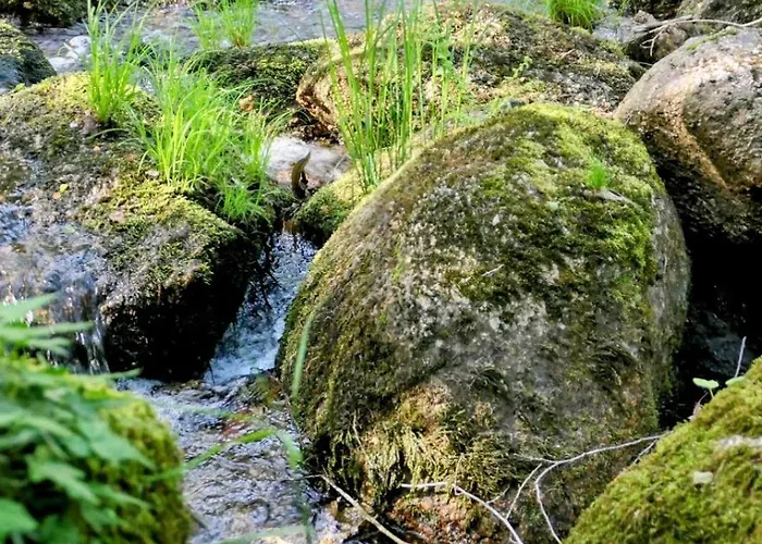 Feriested D'alijo Retreat Center Cabeceiras de Basto