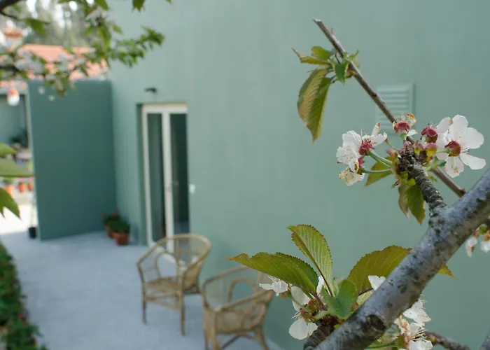 Feriested D'alijo Retreat Center